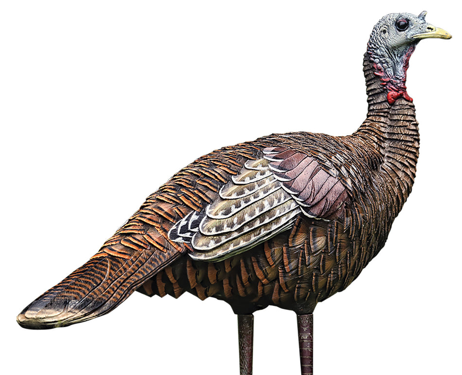 Avian X AVXAVX8006 LCD Lookout Hen Turkey Decoy Collapsible