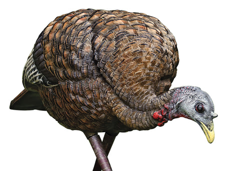 Avian X AVXAVX8007 LCD Feeder Hen Turkey Decoy Collapsible