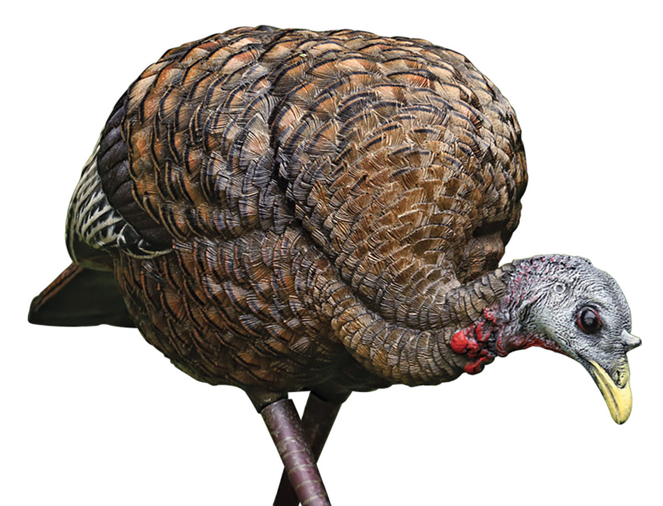 Avian X AVXAVX8007 LCD Feeder Hen Turkey Decoy Collapsible