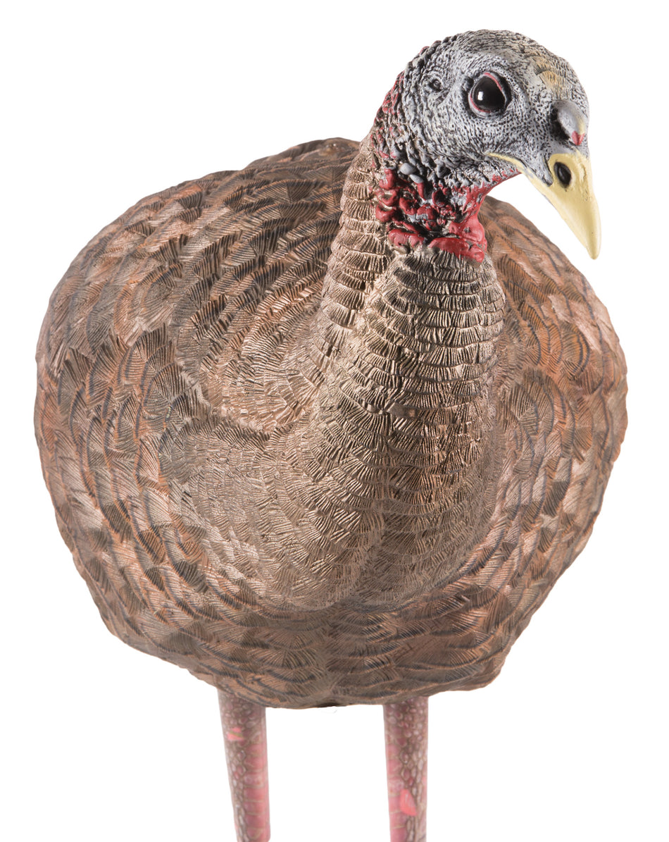 Avian X AVXAVX8008 LCD Breeder Hen Turkey Decoy Collapsible