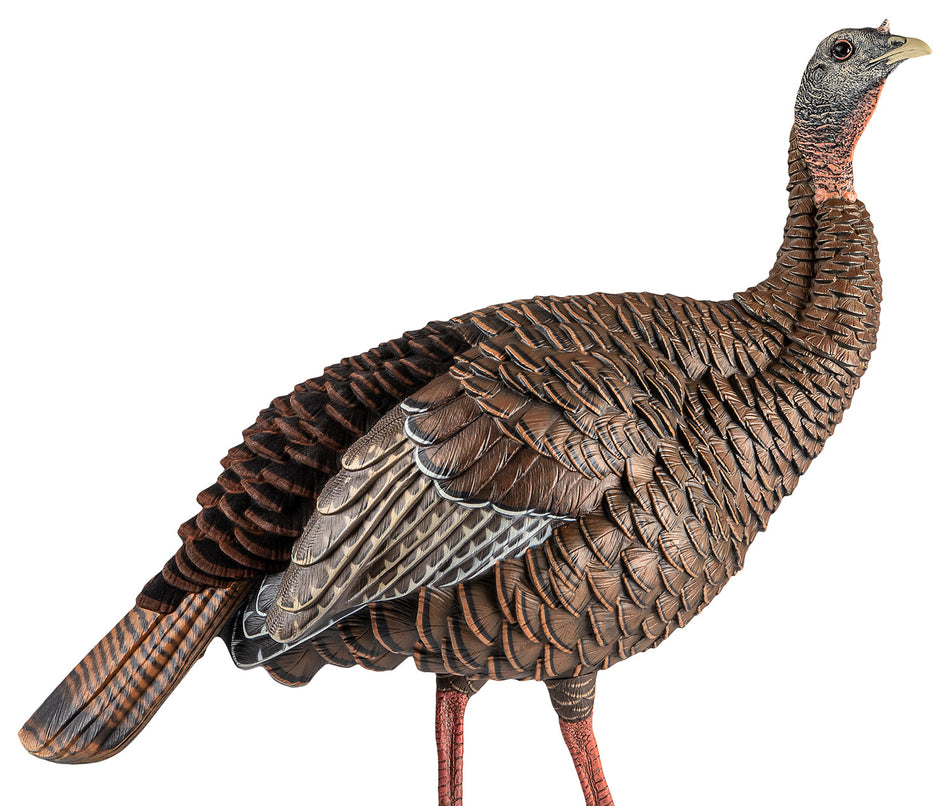 Avian X AVXAVX8106 HDR Upright Hen Turkey Decoy