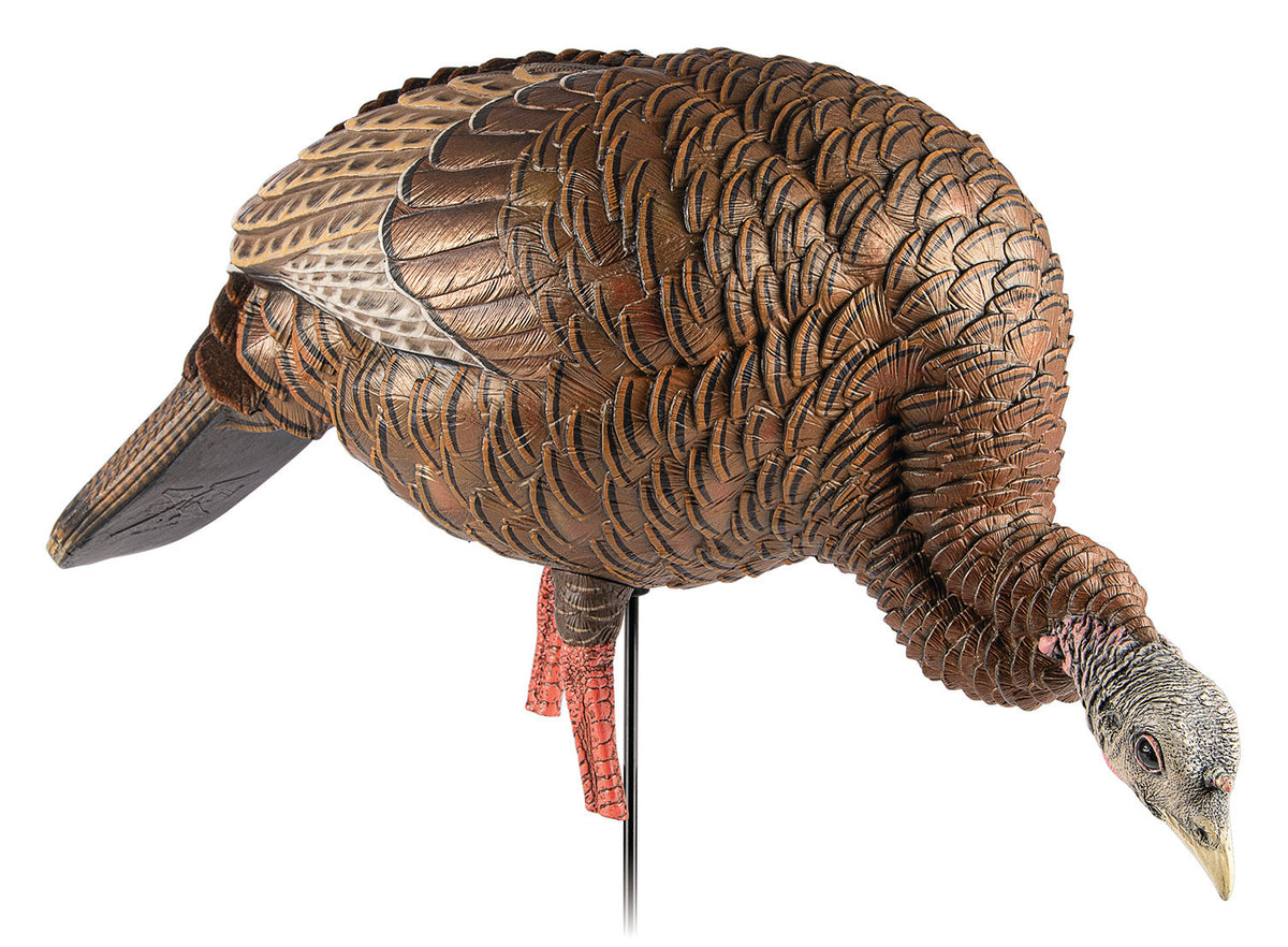 Avian X AVXAVX8107 HDR Feeding Hen Turkey Decoy with Decoy Bag