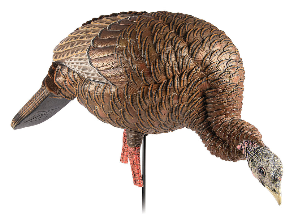 Avian X AVXAVX8107 HDR Feeding Hen Turkey Decoy with Decoy Bag