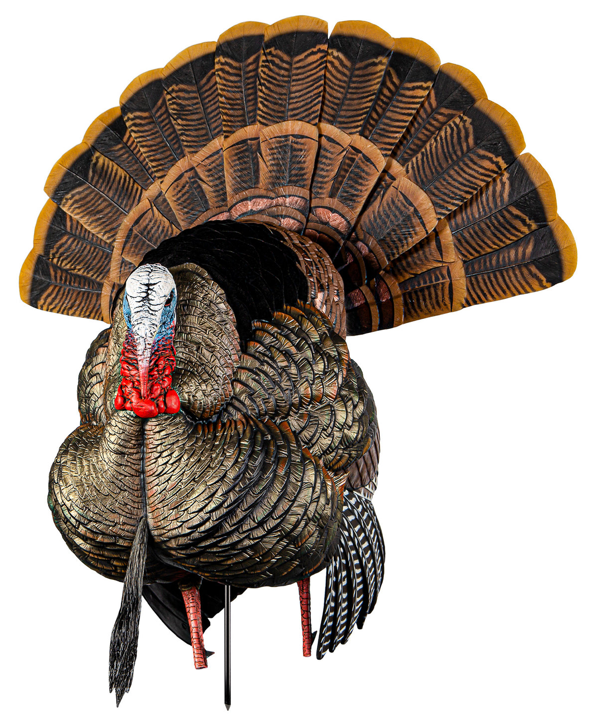 Avian X AVXAVX8108 HDR Strutter Tom Turkey Decoy with Decoy Bag