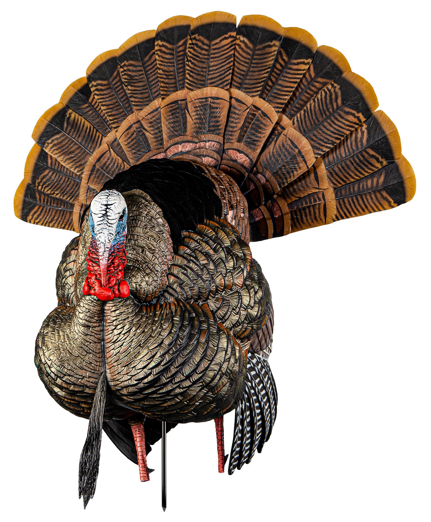 Avian X AVXAVX8108 HDR Strutter Tom Turkey Decoy with Decoy Bag
