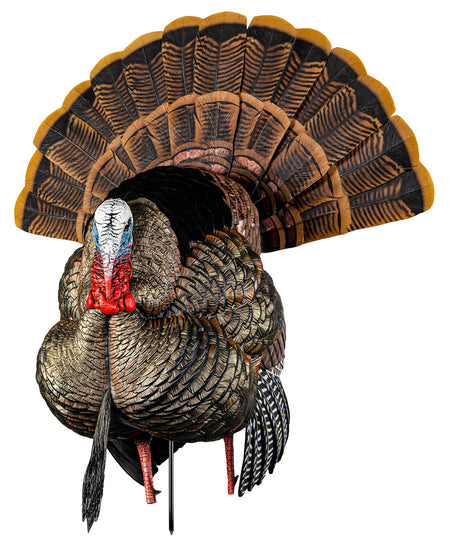 Avian X AVXAVX8108 HDR Strutter Tom Turkey Decoy with Decoy Bag