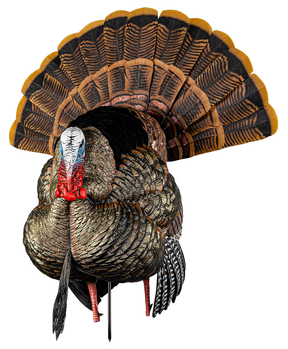 Avian X AVXAVX8108 HDR Strutter Tom Turkey Decoy with Decoy Bag