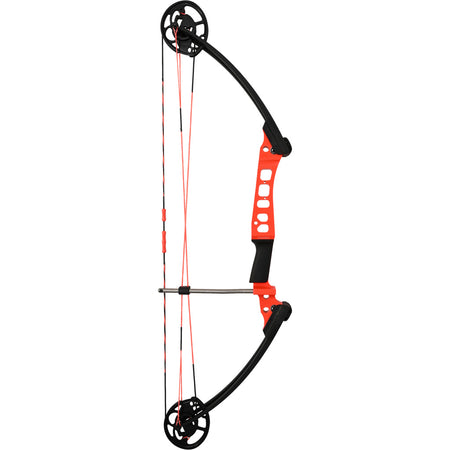 AMS Hooligan V2 Right-Hand Bowfishing Bow 24-50 lb. RAP Cam