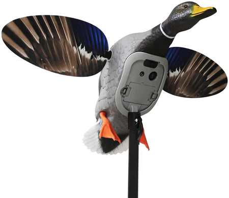 Mojo Outdoors Elite Series King Mallard Decoy with Bluetooth Remote Compatible, Rechargeable Battery