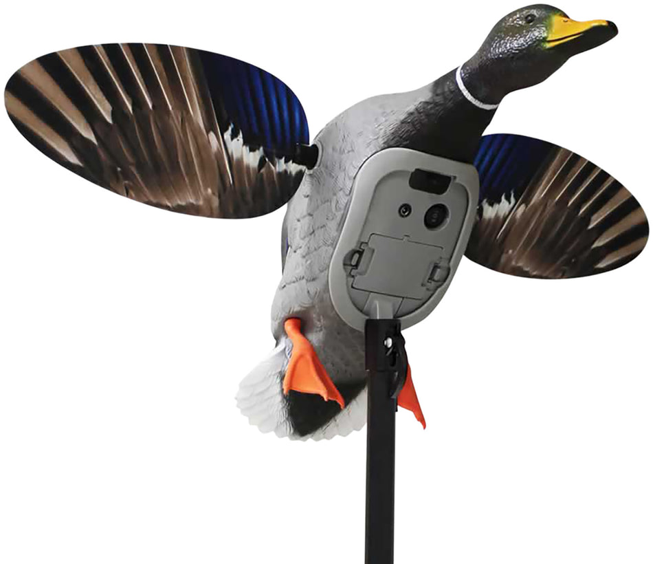 Mojo Outdoors Elite Series King Mallard Decoy with Bluetooth Remote Compatible, Rechargeable Battery