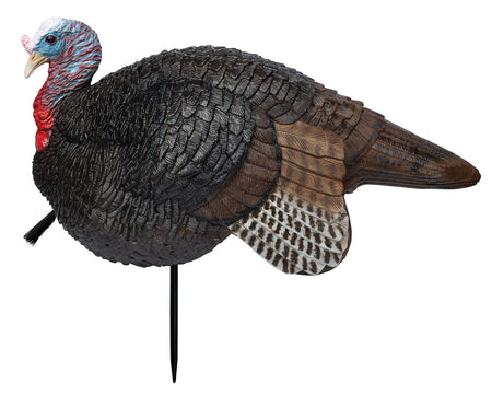 Primos 69074 Lil' Gobstopper Small Jake Turkey Decoy, Multi Color