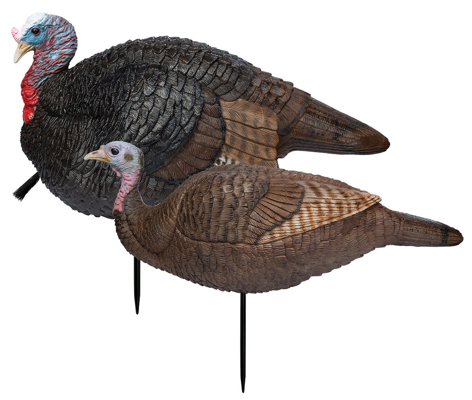 Primos 69075 Lil' Gobblestopper Jake and Hen Collapsible Decoy Set, Multi Color