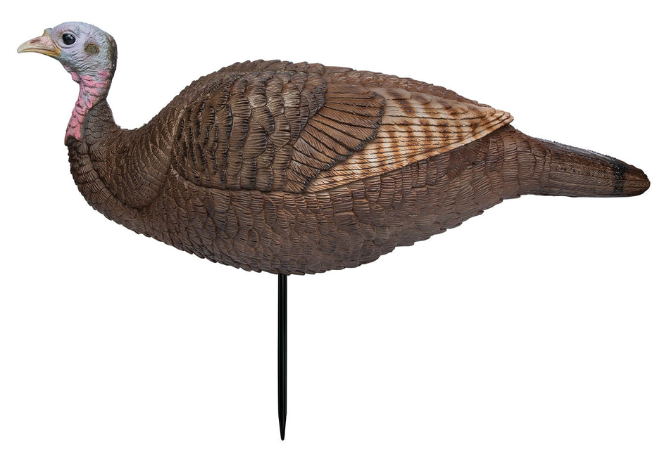Primos 69073 Lil' Gobstopper Collapsible Hen Turkey Decoy, Multi Color