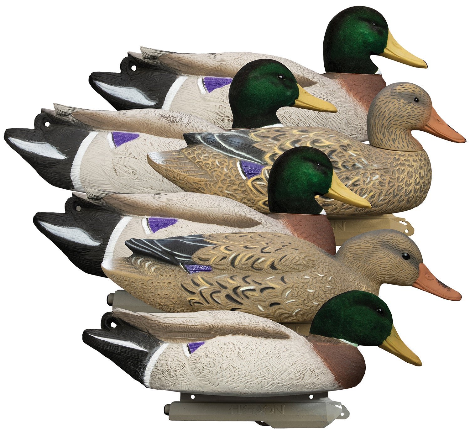 Higdon Battleship Oversized Mallard Species Decoy Set Foam Filled Flocked Heads 6 Pack