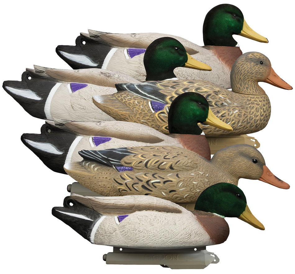 Higdon Battleship Oversized Mallard Species Decoy Set Foam Filled Flocked Heads 6 Pack