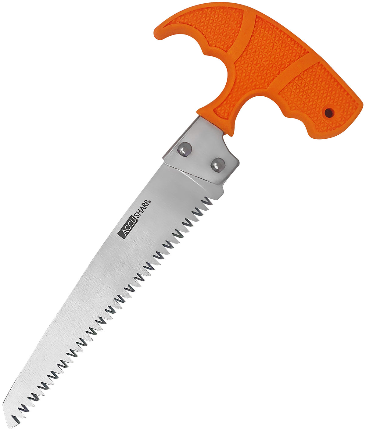 AccuSharp 730C Bone Saw 6" Stainless Steel Fixed Blade - Blaze Orange T-Handle with Durable Nylon Sheath & Belt Loop
