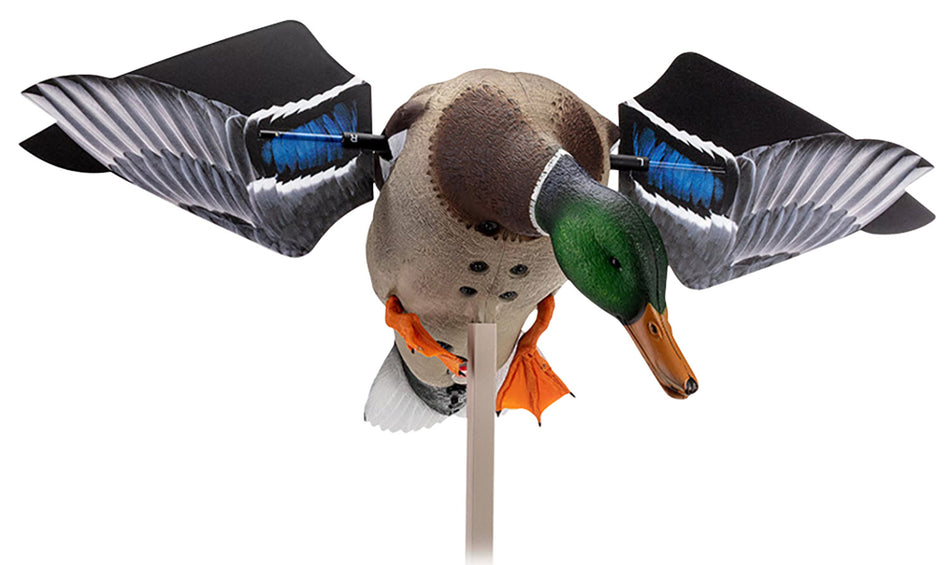 Avian-X PowerFlight Mallard Spinning Wing Duck Decoy with Remote AVXAVXDP100