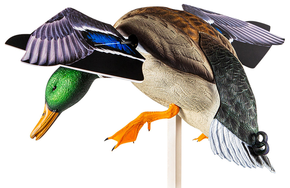 Avian-X PowerFlight Mallard Drake Spinning Wing Decoy Dual Mode Remote AVXAVXDP101
