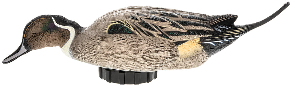 Avian-X Power Shaker Pintail Surface Feeder Multi-Color Duck Decoy AVXPSHPNSF