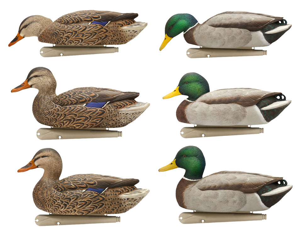 Avian-X Topflight Fusion Mallard Floating Decoys 6-Pack Multi-Color AVXAVX8076