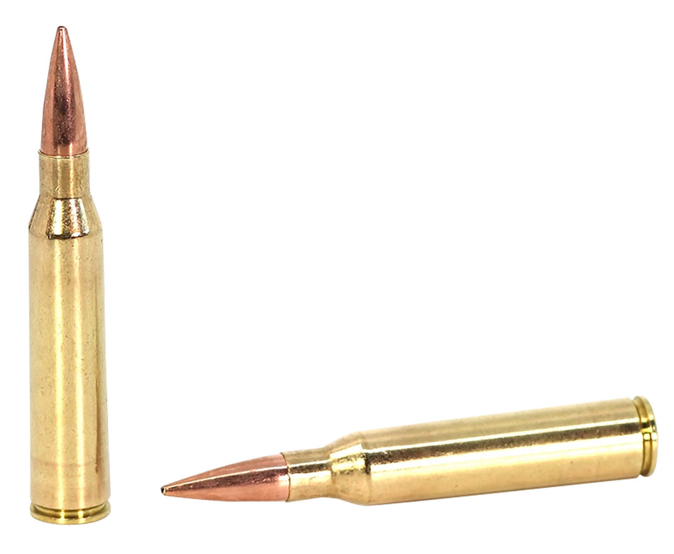 Sako .338 Lapua Magnum JASTRG338LM300Bá TRG Precision MatchKing Hollow Point Boat Tail 300 Grain