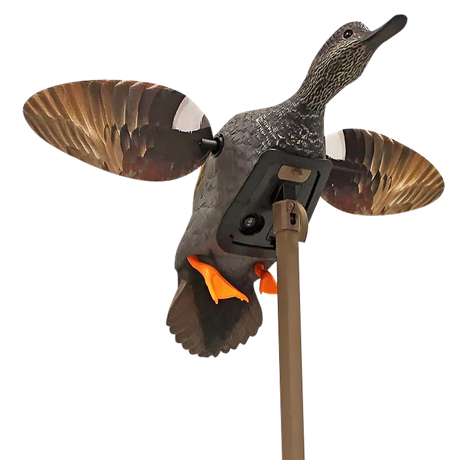 Mojo Outdoors Elite Series Gadwall Duck Decoy, HW24733P
