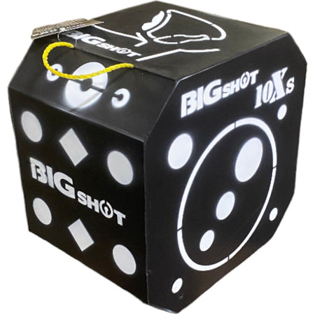 Big Shot Titan 10XS Crossbow Broadhead Target 150 Aiming Points