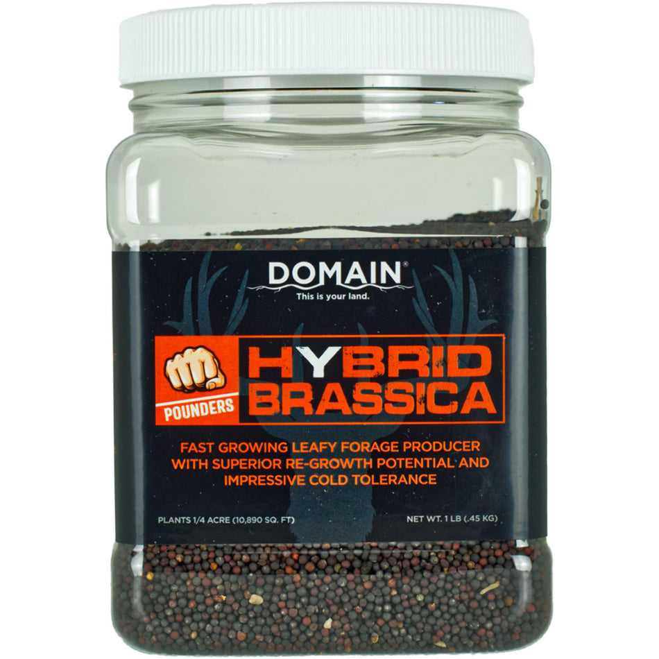 Domain Pounder Hybrid Brassica Food Plot Seed - Quarter Acre