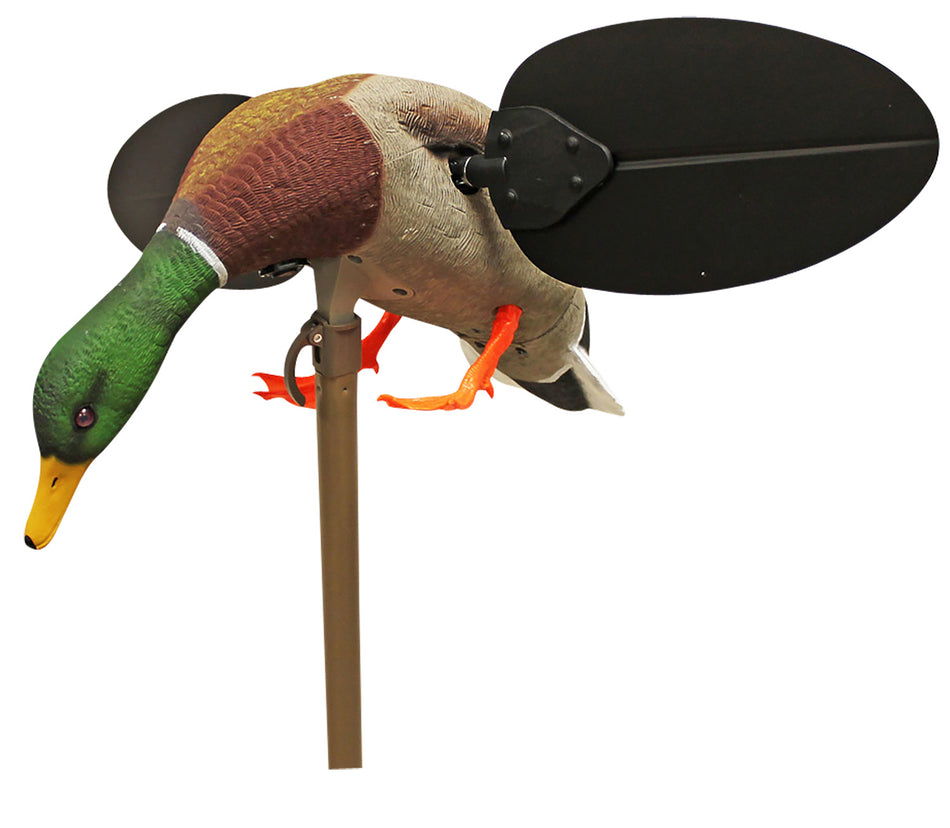 Mojo Outdoors Mallard Drake Decoy with Remote Control, HW2533, Multi Color