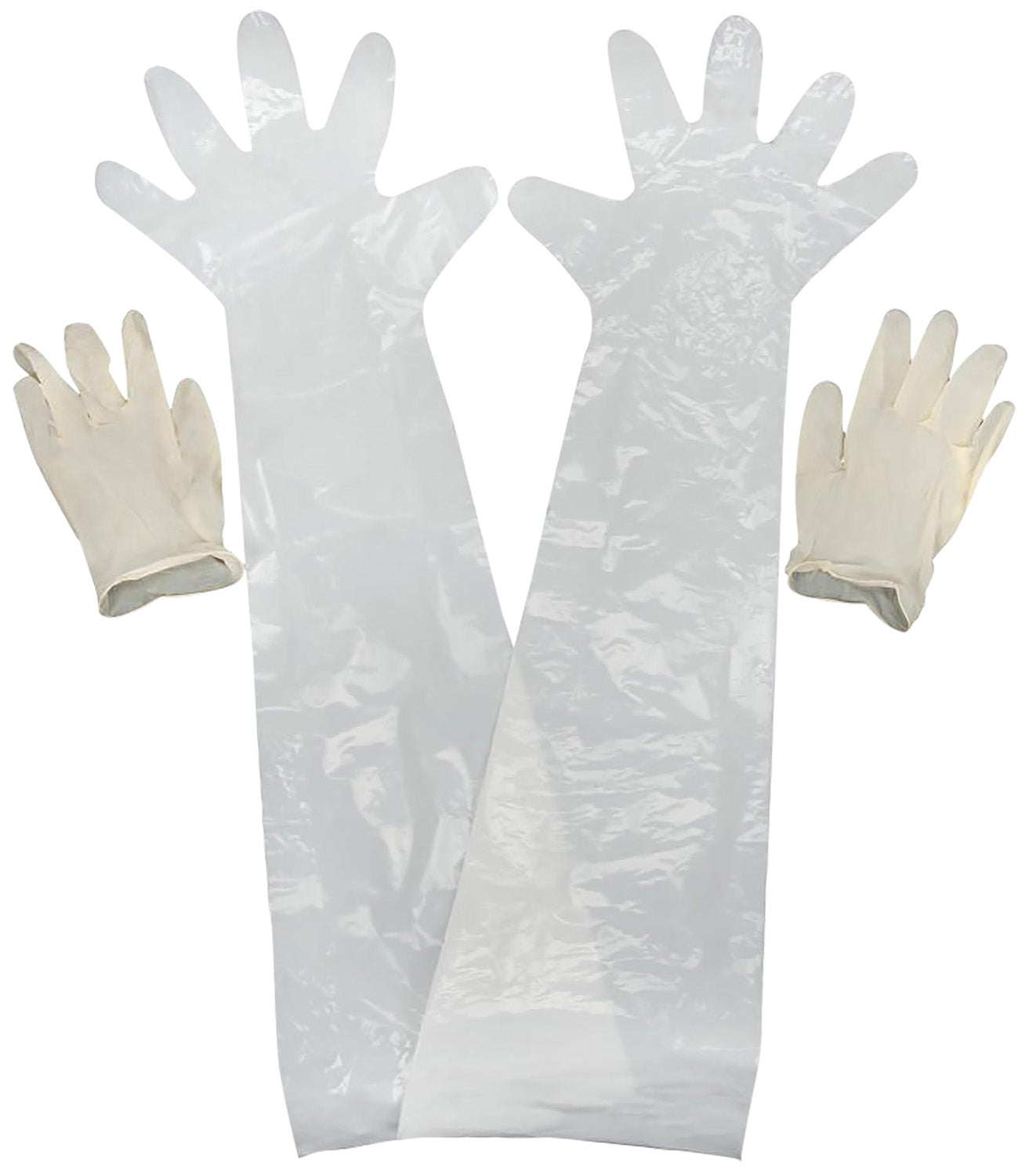 Allen Field Dressing Clear Latex Gloves Shoulder and Wrist 2 Pack 51