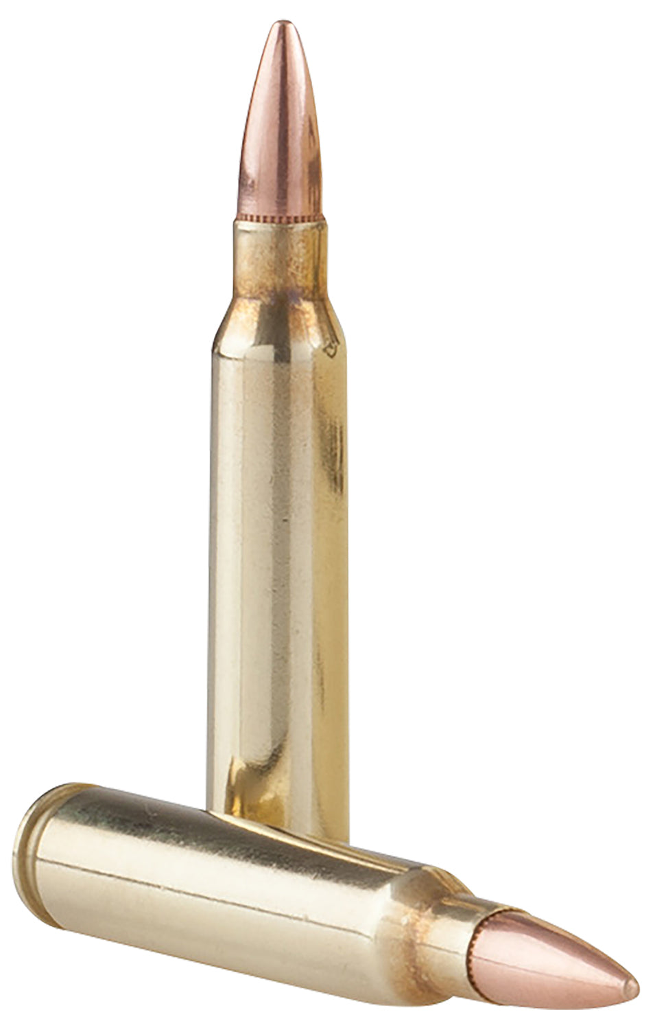 Prvi Partizan 5.56x45mm NATO Rifle Ammo Tr&z Range Master Full Metal Jacket Boat Tail FMJ 55 grain 