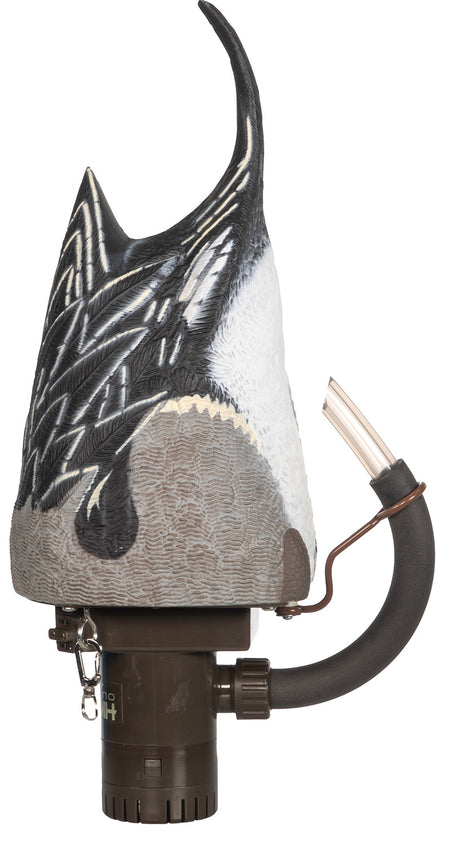 Higdon Pro Pintailard Pulsator Animated Decoy Pintail Duck Species