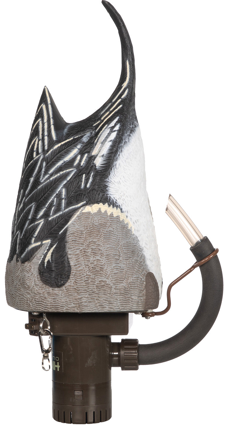 Higdon Pro Pintailard Pulsator Animated Decoy Pintail Duck Species