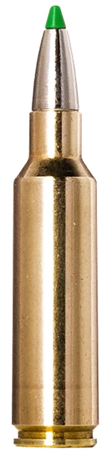 Norma .300 WSM Rifle Ammo Ecostrike Boat Tail PolyTip 165 grain 