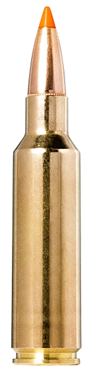 Norma .300 WSM 20174022 Tipstrike  170 Grain