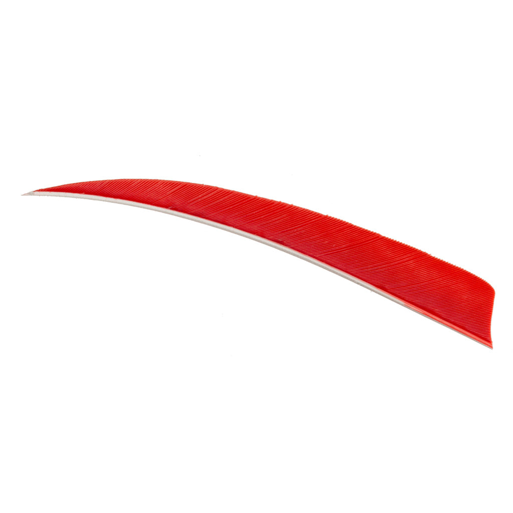 Trueflight Red 5" Shield Cut RW Arrow Fletching Feathers 100 pk.