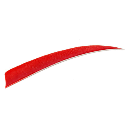Trueflight Red 5" Shield Cut LW Arrow Fletching Feathers 100 pk.
