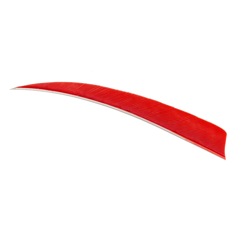 Trueflight Red 4" Shield Cut RW Arrow Fletching Feathers 100 pk.
