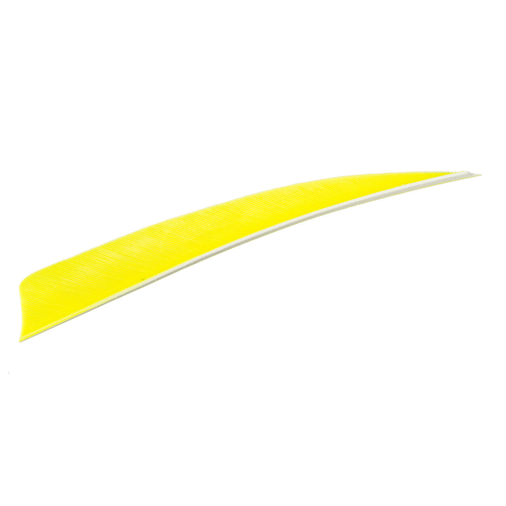 Trueflight 4 in. Chartreuse Shield Cut Arrow Feathers LW 100 pk.
