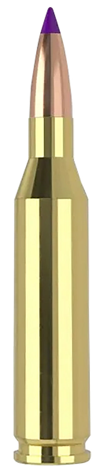 Nosler .243 Winchester Rifle Ammo Ballistic Tip SP PolyTip 70 grain 