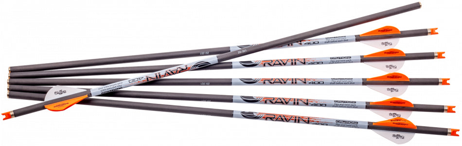 Ravin R139 .001 Premium Arrows 400GR 6 Pack