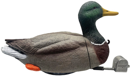 Mojo Outdoors Dabbler Duck Mallard Drake Species Decoy, HW2554