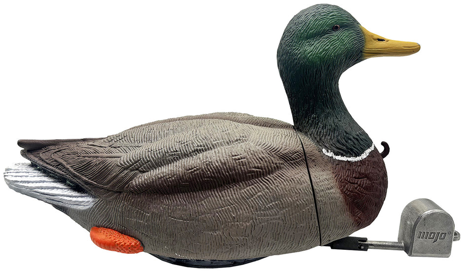Mojo Outdoors Dabbler Duck Mallard Drake Species Decoy, HW2554