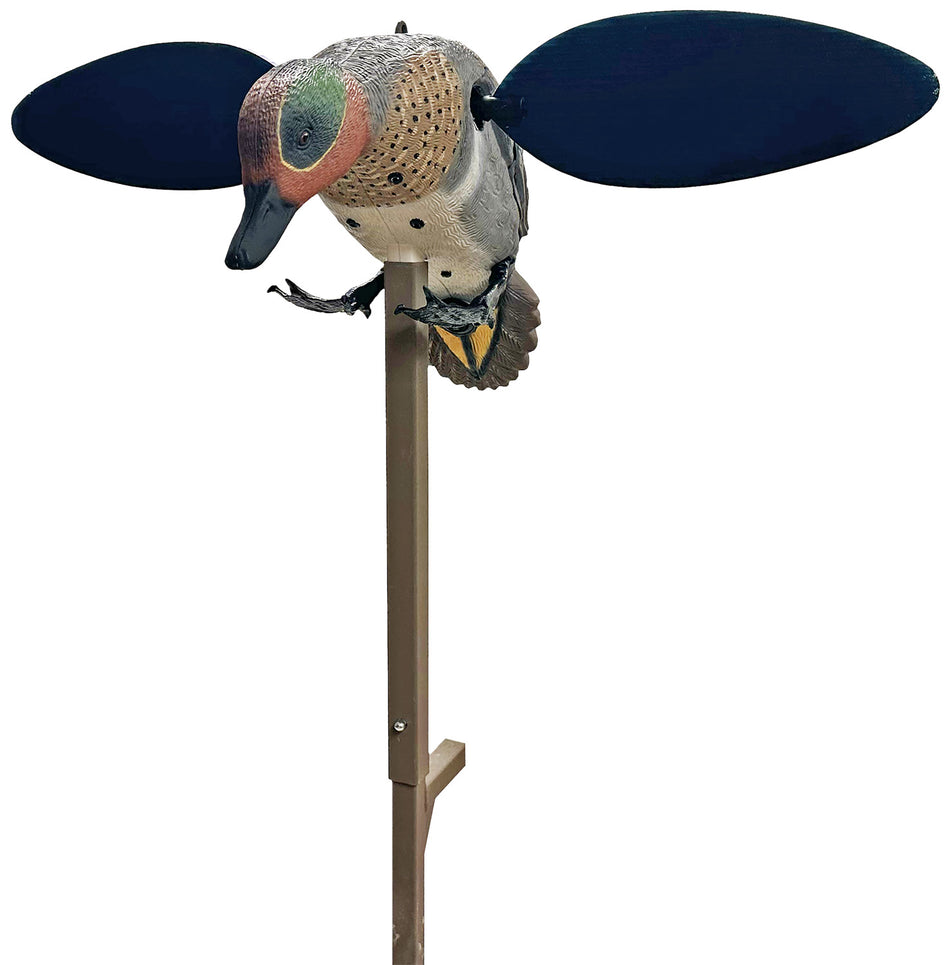Mojo Outdoors Green Winged Teal Species Dabbler Decoy, HW2555
