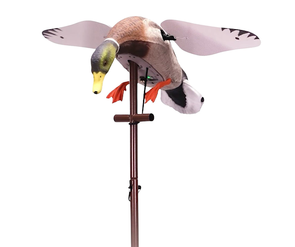 Higdon Outdoors Flasher Pro Mallard Drake Decoy Multi-Color with Remote (Model 55054)