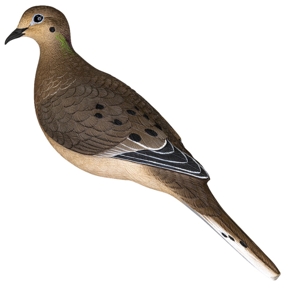 Avian-X Full Body Dove Decoys 6-Pack Multi-Color AVX-DOVE-6PK