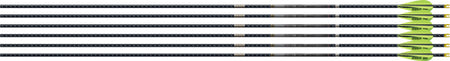 Easton 4MM FMJ 300 Match Grade Arrow 6-Pack w/ 3" AAE Hybrid Vanes