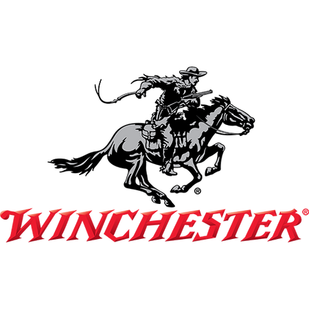 Winchester .25 ACP Handgun Ammo Hollow Point Hollow Point JHP 45 grain 