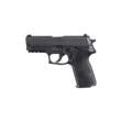 Sig Sauer P229 Nitron Compact 9mm Luger Pistol, 10-Round Magazine, CA Compliant