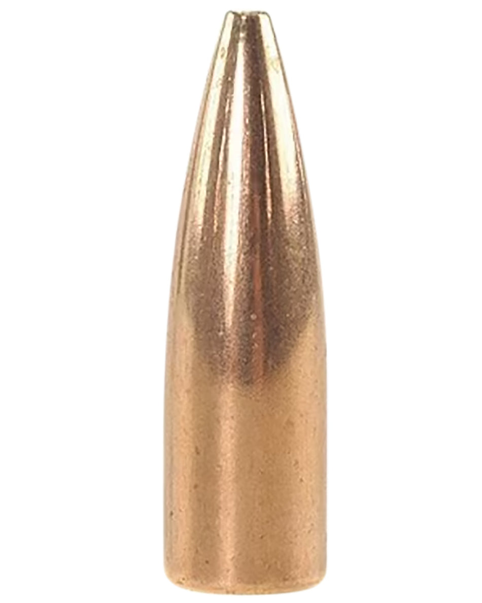 Speer 4725 .30 Cal 125gr TNT JHP Varmint Bullets Bulk Pack 500 Per Box